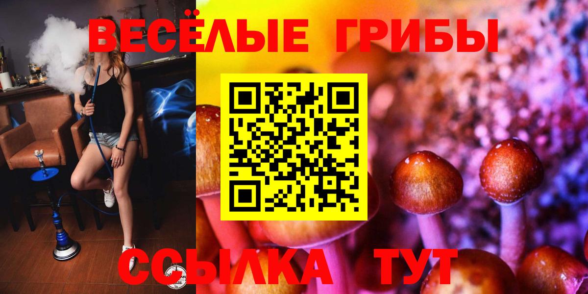 Псилоцибиновые грибы мицелий  Вход с VPN  Отрадное 